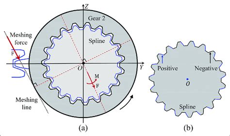 Spline .
